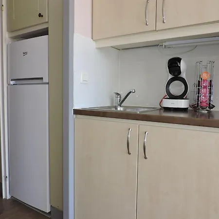 Escapade Ensoleillee Aux Parcs De Grimaud